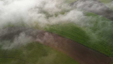 Una-Mañana-Con-Niebla-En-Una-Zona-Rural-De-Luxemburgo-Con-Un-Camino-Sin-Asfaltar