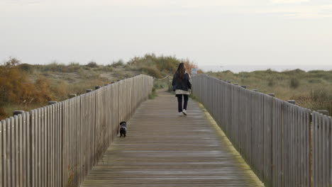 miniature dachshund wearing hoodie walking with female owner along peaceful beach boardwalk