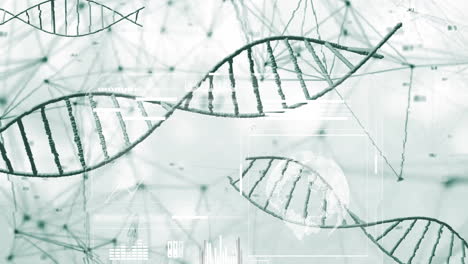 animation of dna strands with network connections in scientific data visualization