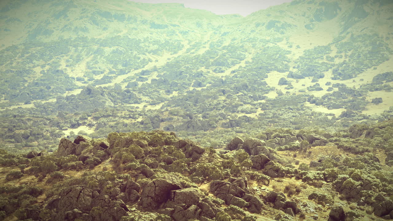 Rocky terrain with lush vegetation under soft sunlight in serene landscape
