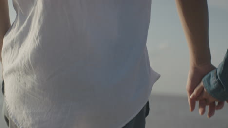 fotografía de cerca de un joven coupé tomándose de la mano y caminando por el mar bajo el sol