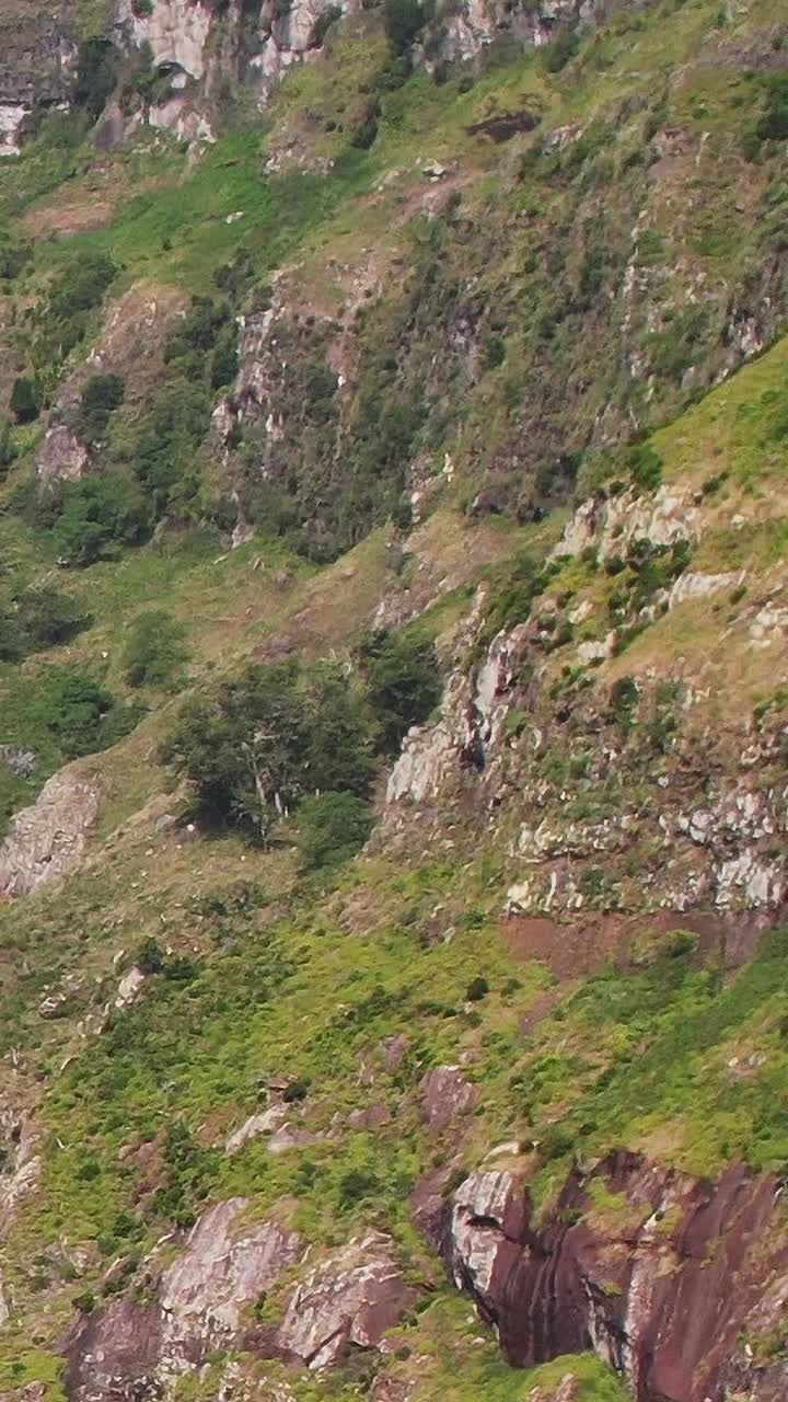 Splendida vista aerea delle rigogliose montagne verdi di Madeira, ripresa con drone