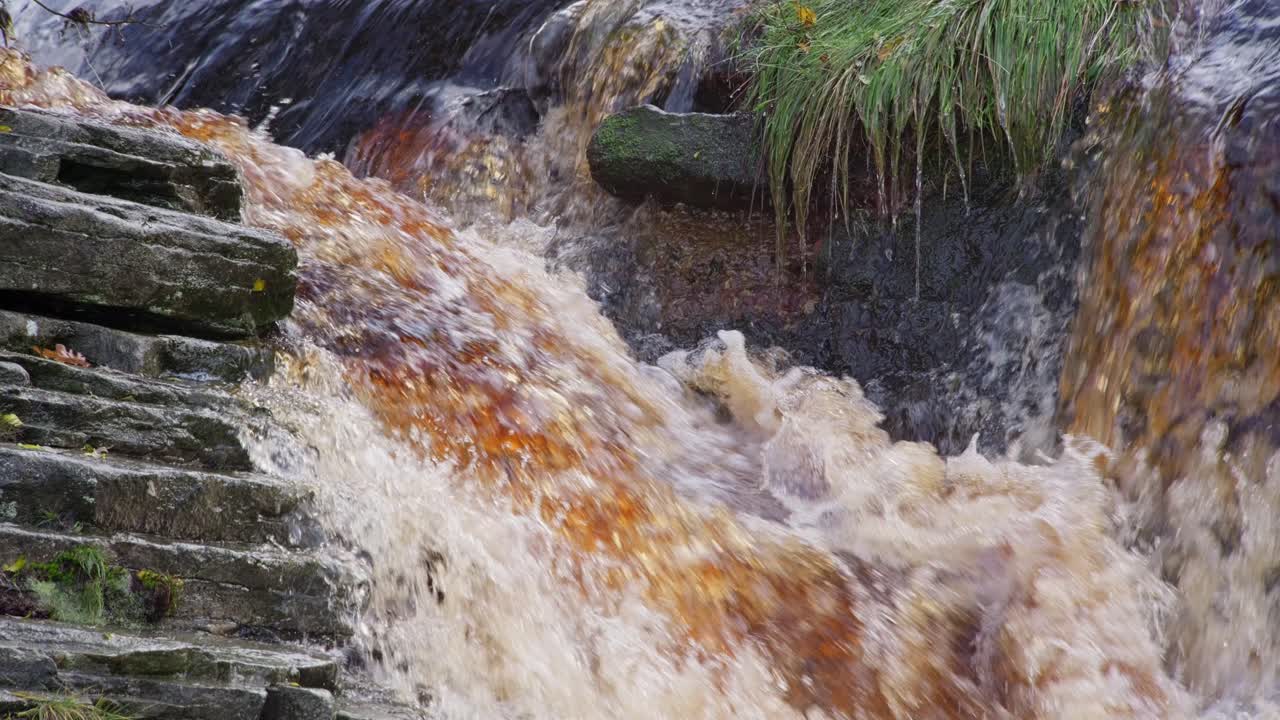 un bosque sereno de otoño e invierno, un arroyo serpenteante sobre las rocas, forma pequeñas cascadas