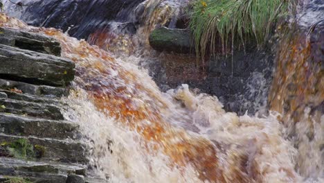 serene autumn-winter woodland, a meandering stream over rocks, forms small waterfalls