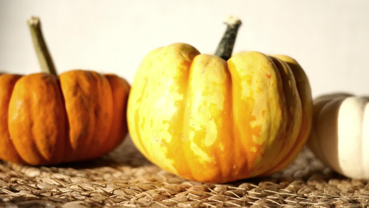 primer plano de las calabazas decorativas