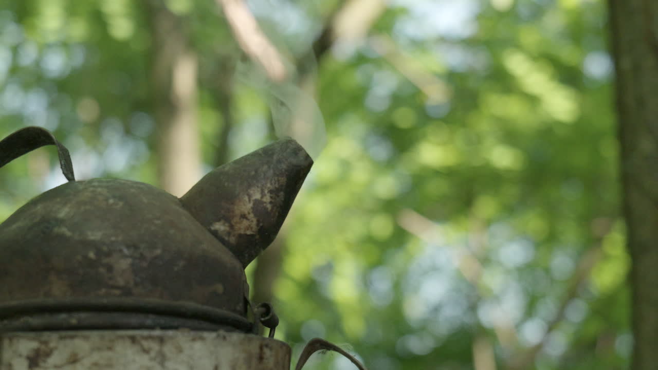 Beekeeping smoker in forest environment