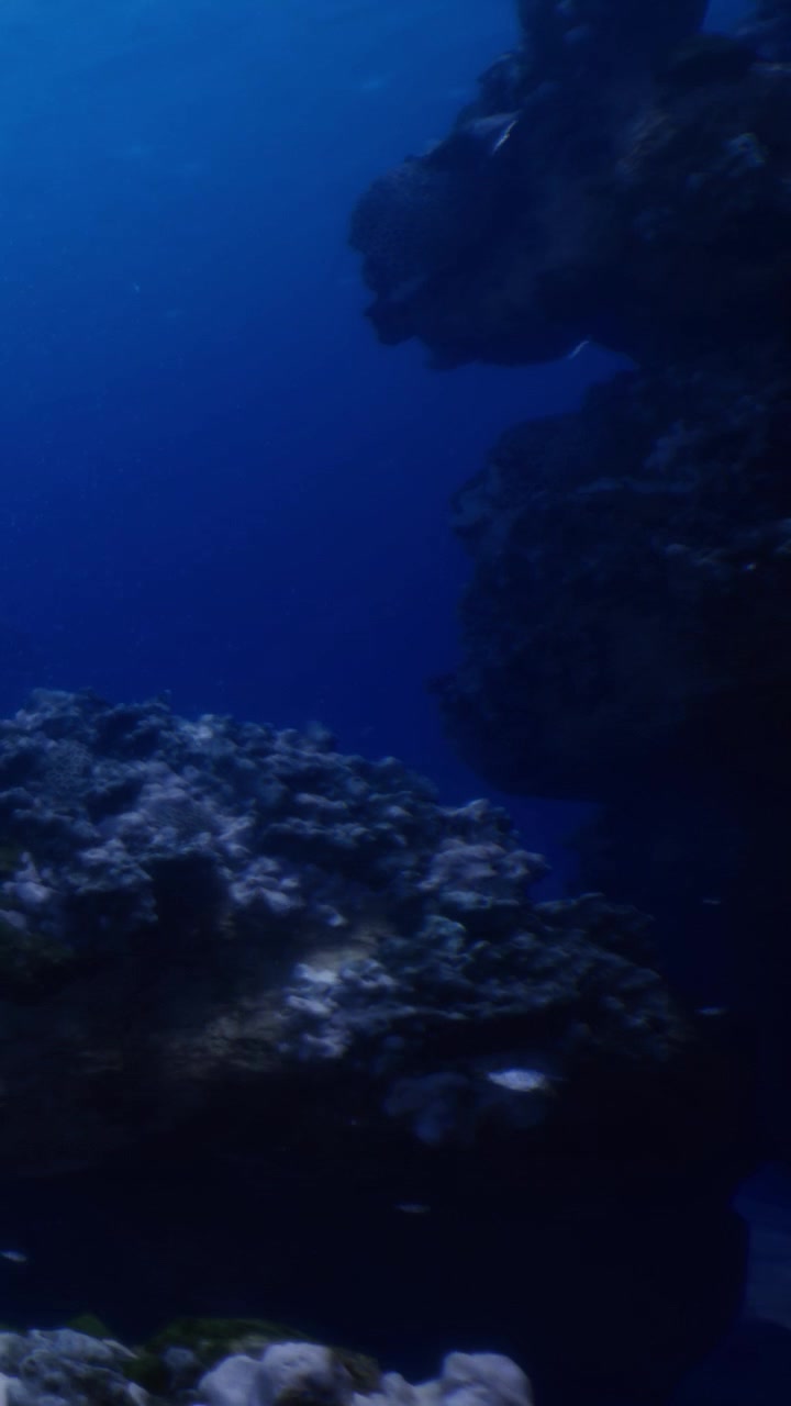 Coral reef underwater scene with rocks and marine life in deep ocean