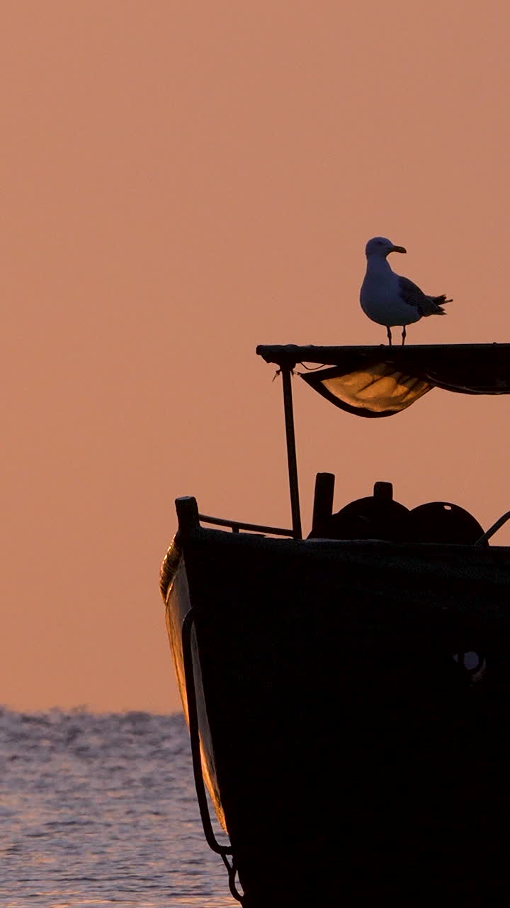 Un sereno scatto verticale di un gabbiano in piedi sulla silhouette di una barca da pesca contro un cielo caldo arancione all'alba a Gdynia Orlowo, Polonia. Perfetto per contenuti di viaggio e natura.