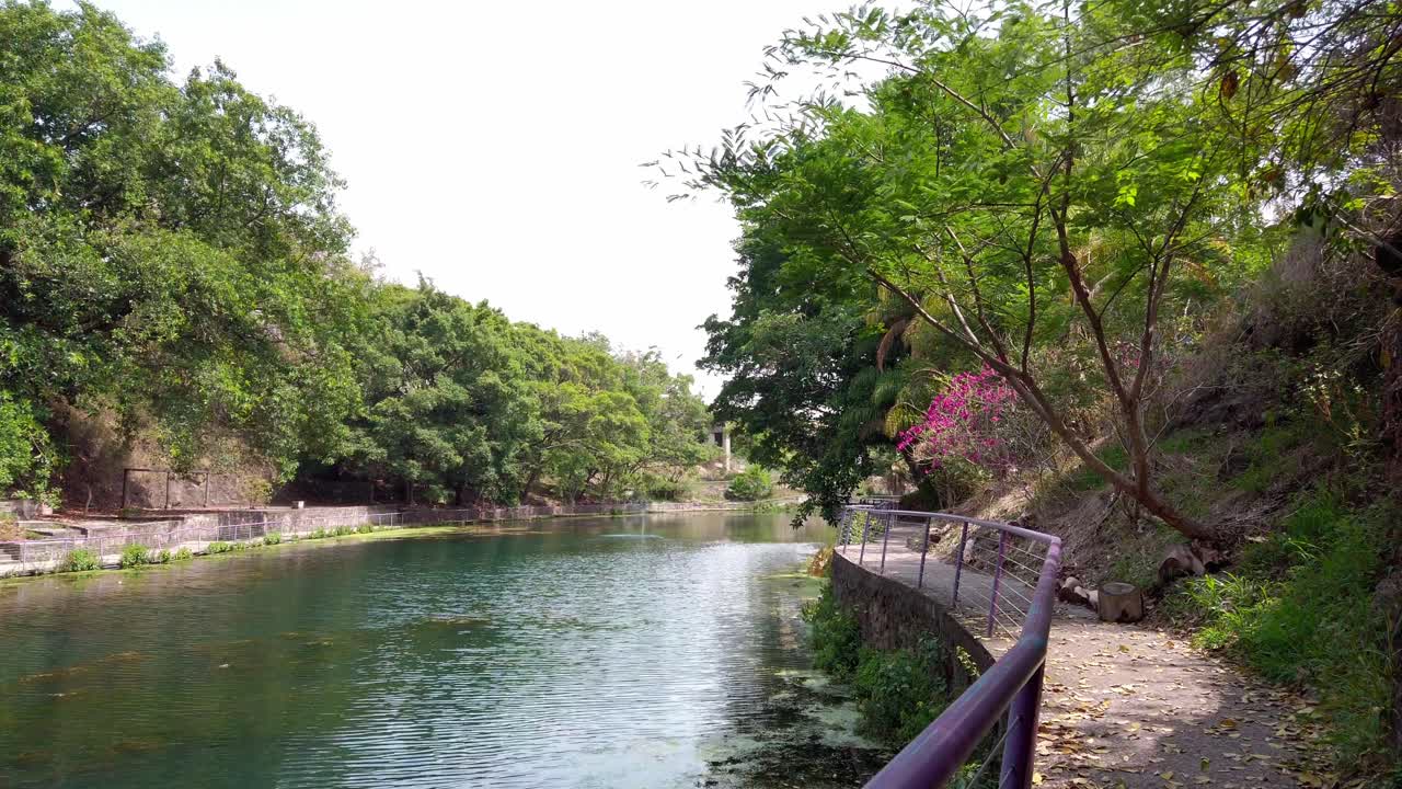 Zoom in along a curved riverside path surrounded by dense foliage