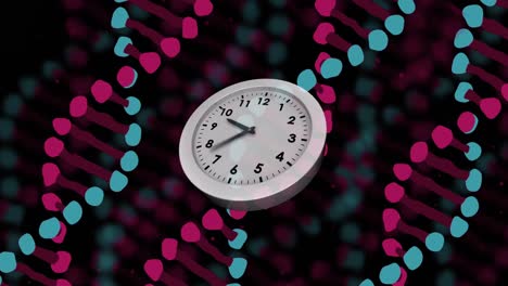 animation of clock moving over dna strands on black background