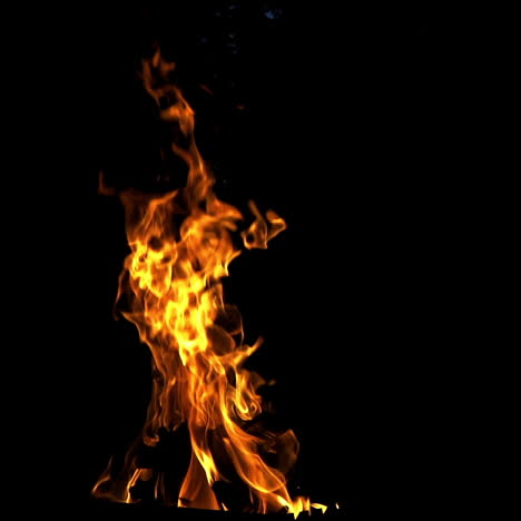 bright burning fire isolated on black background. burning wood in slow motion