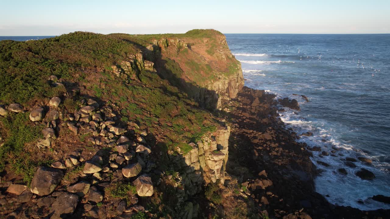 Waves Crashing On The Rocky Coastline Of Cook Island With Seagulls In NSW, Australia. - aerial shot