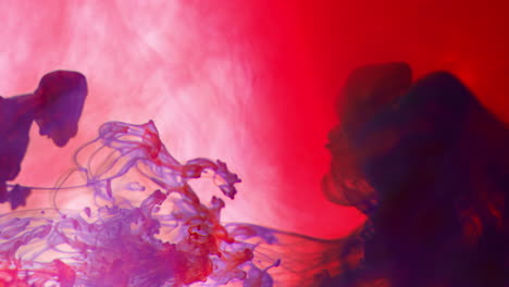 pintura o tinte rojo y púrpura caído en el agua contra un fondo blanco para crear un fondo de humo de colores giratorios