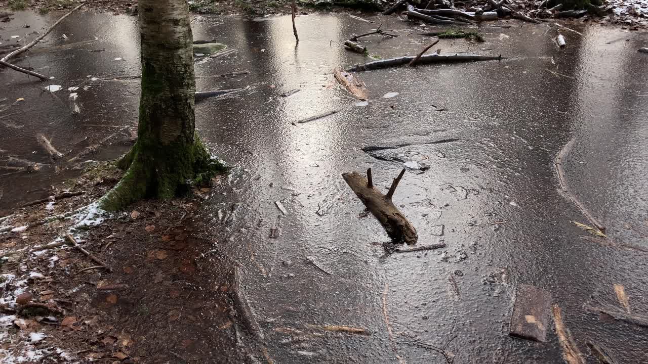 congelado, pequeño lago en el bosque, día de invierno helado
