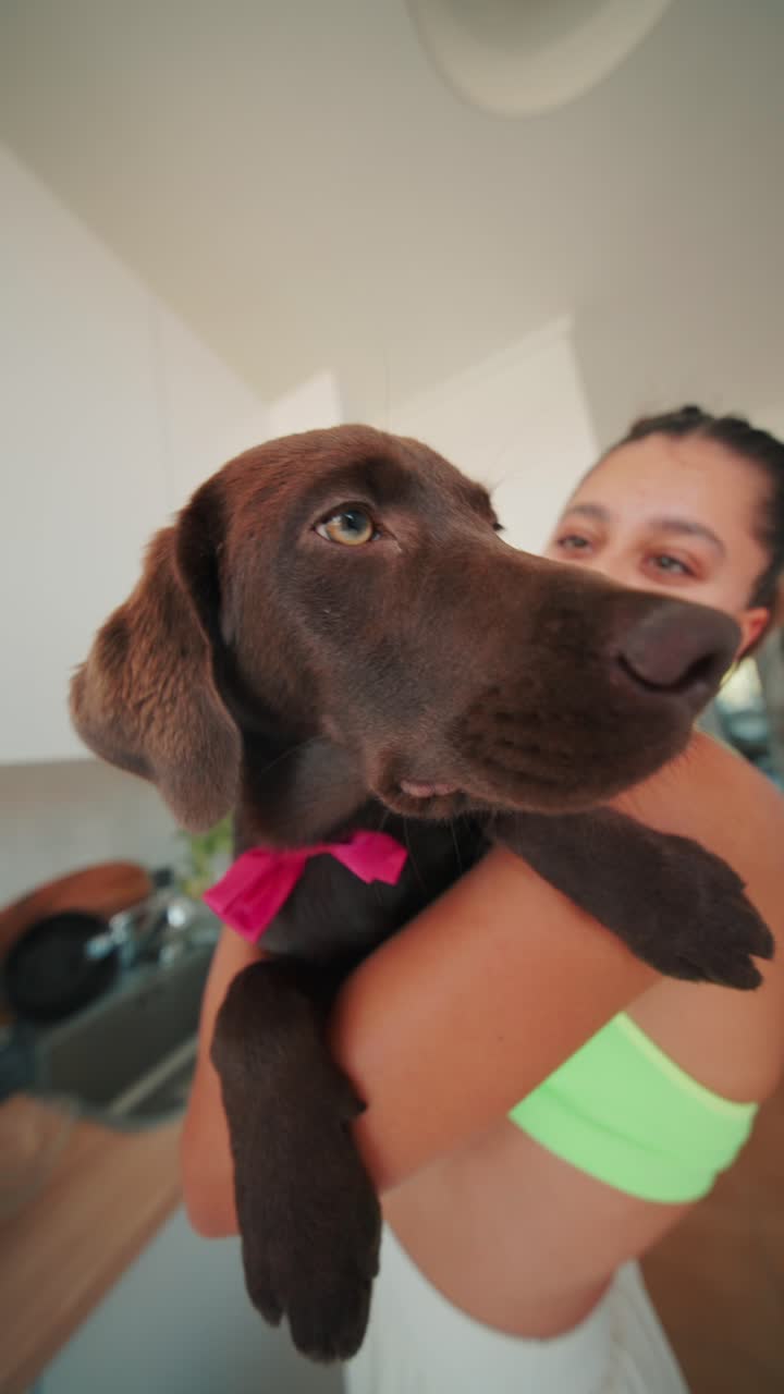 Woman Holding Her Brown Labrador Dog