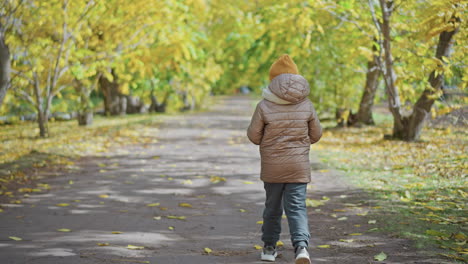 back view of kid walking in warm beige hoodie and mustard beanie holding large yellow leaf while strolling along tree lined park path covered with autumn foliage under overcast sky during fall outing