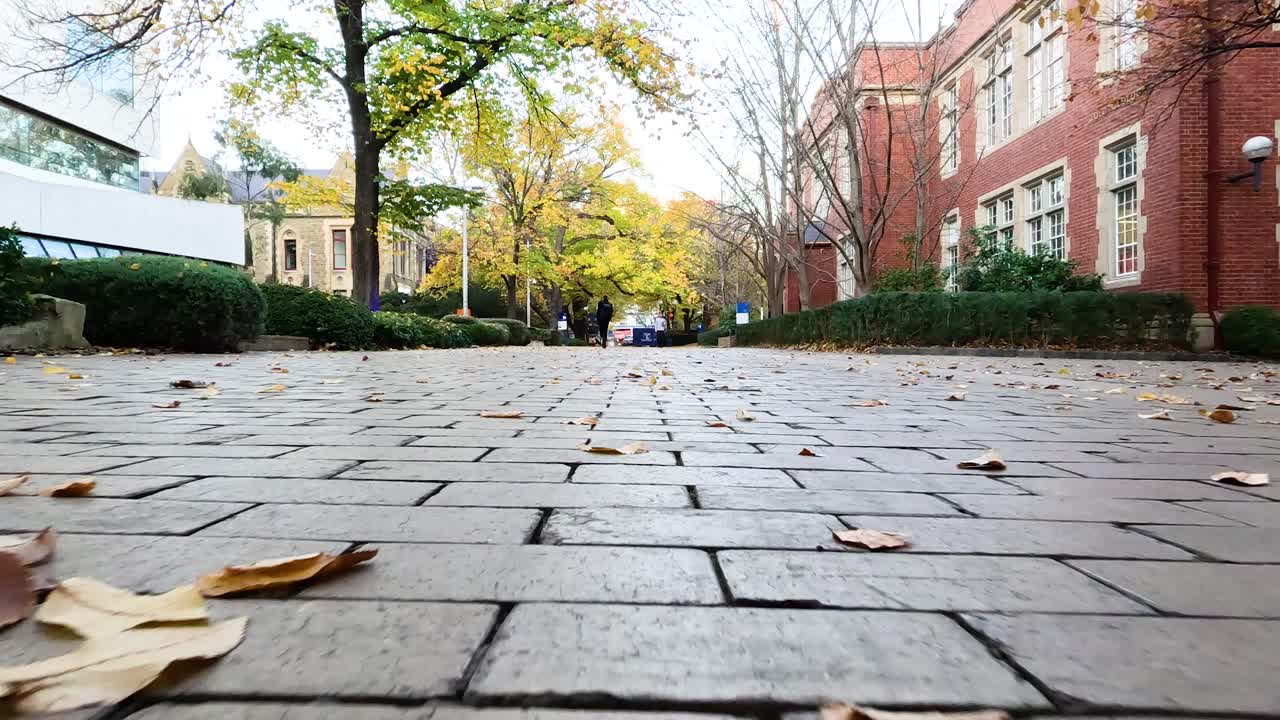 멜버른 의 가을 시즌 에 캠퍼스 길 을 걸어가는 사람 들