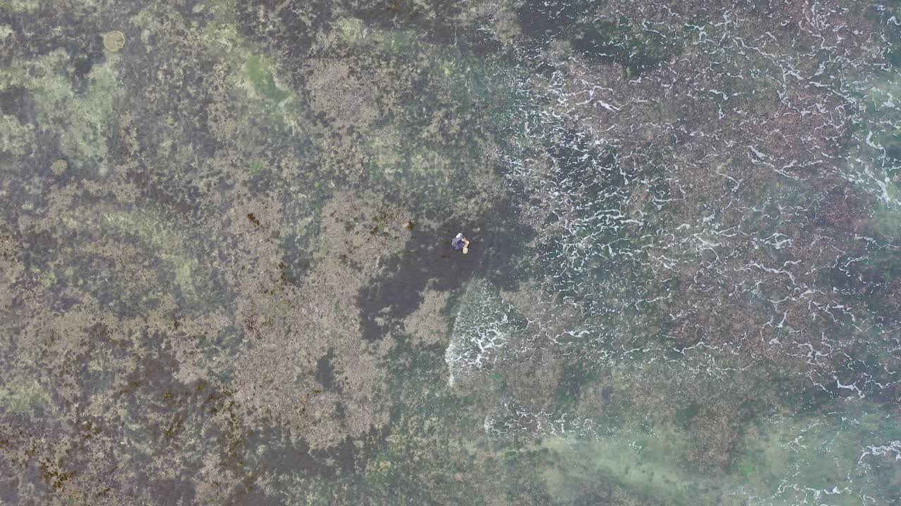 Aerial View of Beach with People