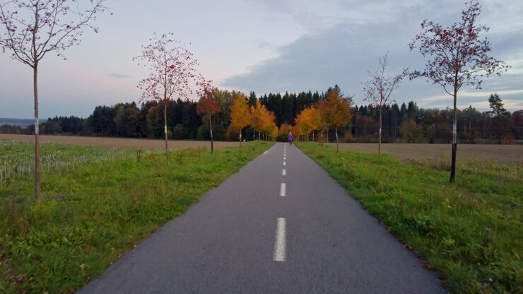 Vista di una bellissima strada con alberi e una collina sullo sfondo.