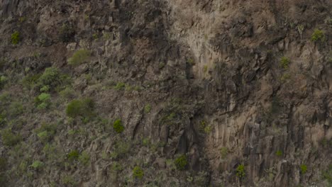 Primer-Plano-De-La-Cara-De-Roca-Volcánica-Con-Colores-Marrón-Oscuro-Y-Verde-Exuberante