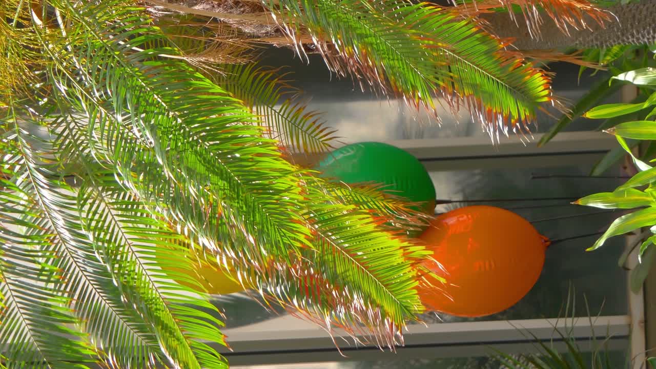 video vertical de globos coloridos en el jardín tropical en 4k cámara lenta 60 fps
