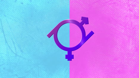 animation of purple gender fluid symbol, on pink and blue background