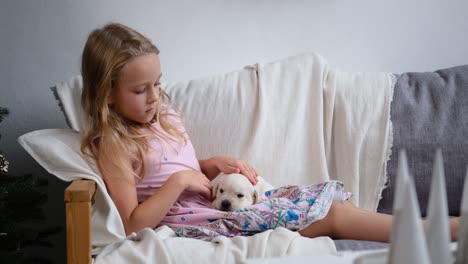 little girl petting puppy on sofa in christmas