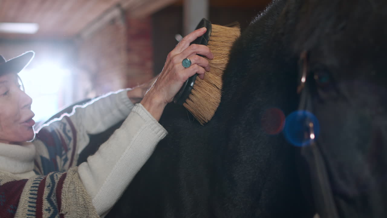 실내에서 동물을 돌보는 사람