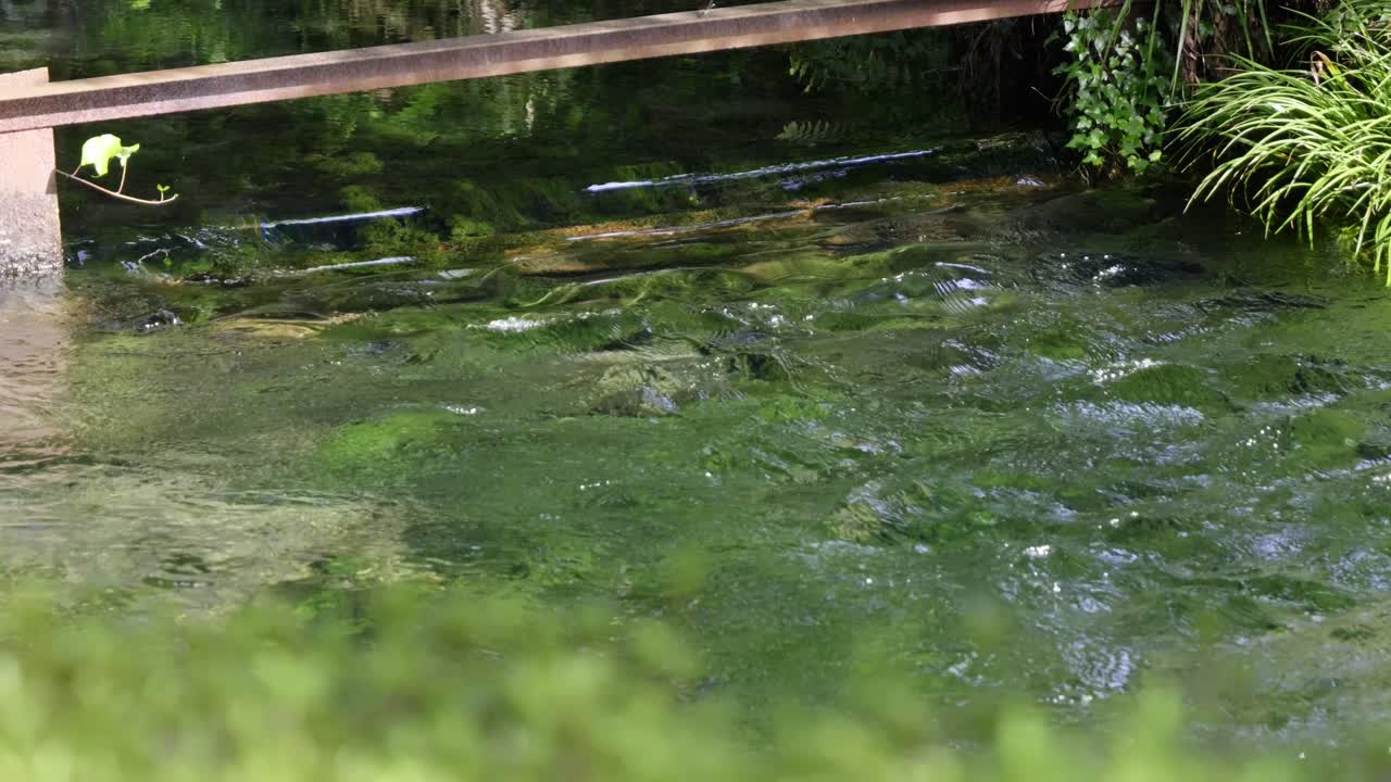 River with crystal clear water flowing in slow motion