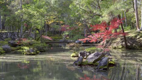 beautiful scenery at saihoji temple in japan