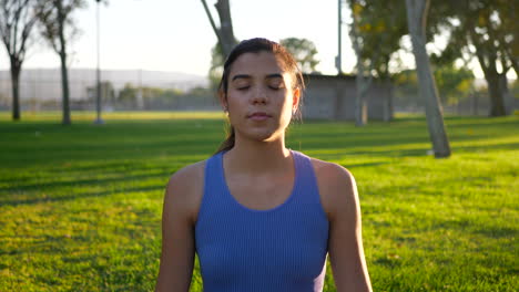 una hermosa joven yogui sentada en una estera de yoga en una meditación relajante en el parque al amanecer