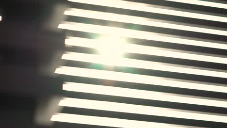 sunlight through venetian blinds
