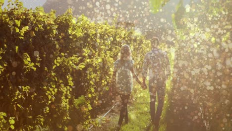 Animation-of-lights-over-back-of-caucasian-couple-holding-hands-and-walking-at-vineyard