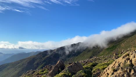 nubes refrescantes en la cima de la montaña sierra bermeja en estepona málaga españa, parque natural verde, día soleado y cielo azul, toma de 4k