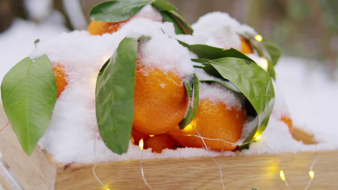 눈으로 인 만다린 오렌지는 불빛이 있는 나무 트레이에