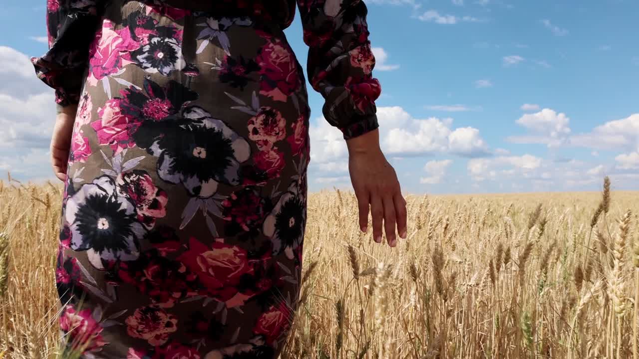 걷고 필드에 황금 밀을 만지고 여성 - 근접 촬영