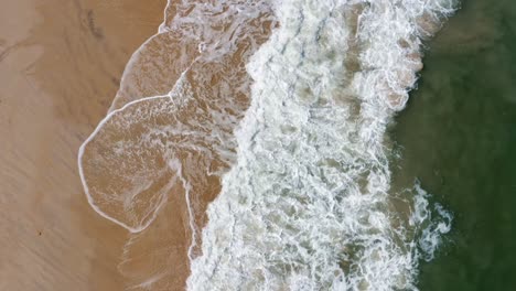 Lowering-close-up-birds-eye-aerial-shot-of-the-tropical-Rio-Grande-do-Norte,-Brazil-coast-with-golden-sand,-turquoise-water-and-waves-crashing-on-shore-in-between-Baia-Formosa-and-Barra-de-Cunha?