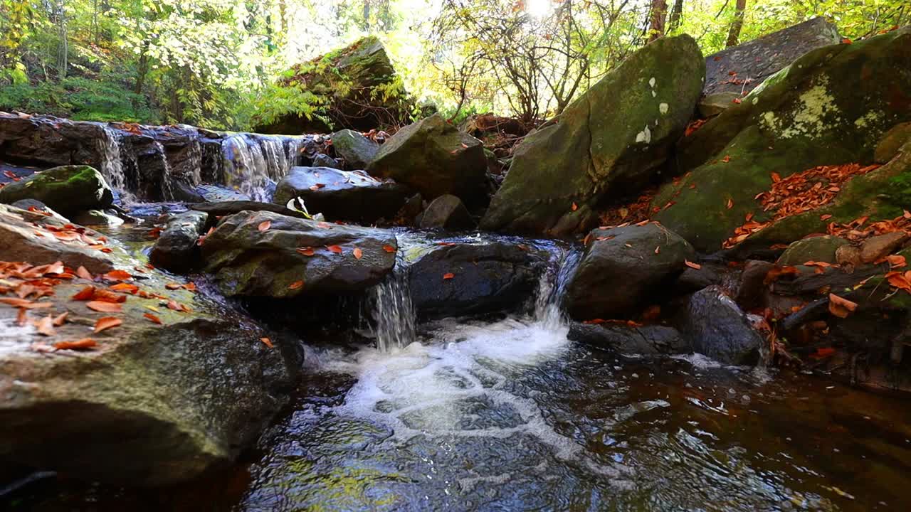 arroyo forestal pacífico en otoño con una pequeña cascada y ondas en la piscina en la base de las cascadas