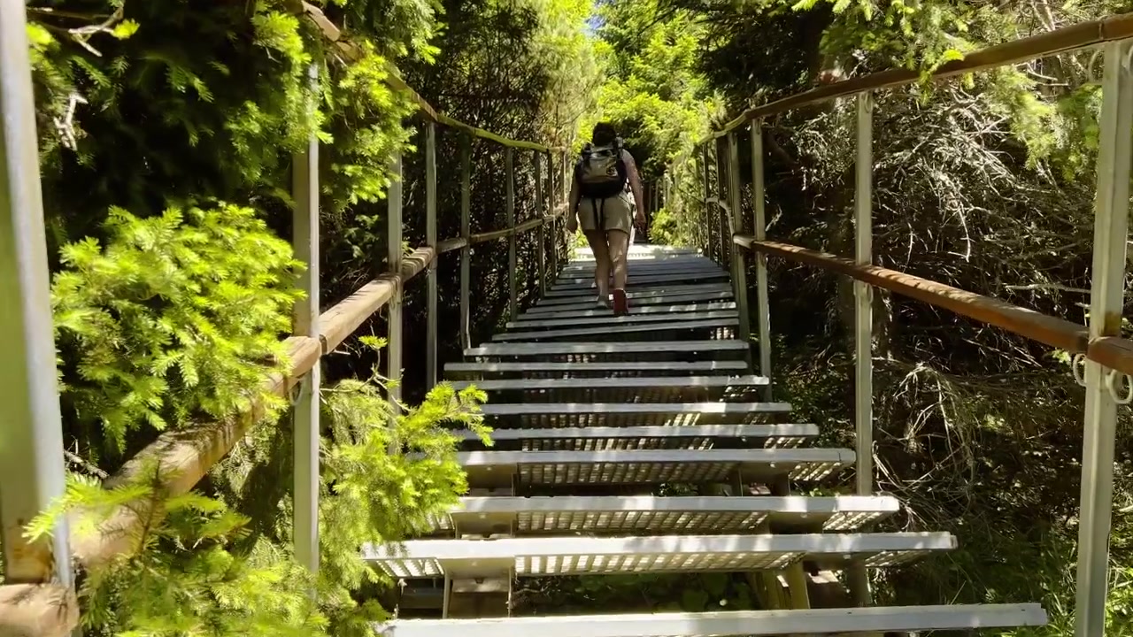 La telecamera segue gli escursionisti su un sentiero con scala metallica attraverso pini verdi lussureggianti e vegetazione sui monti Ceahlău, Romania