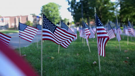 rows of small american flags swaying with the wind on green grass at the park