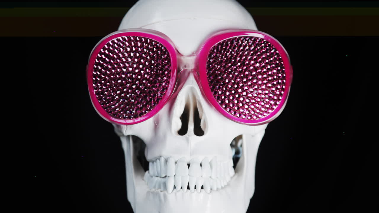 Human skull with sunglasses