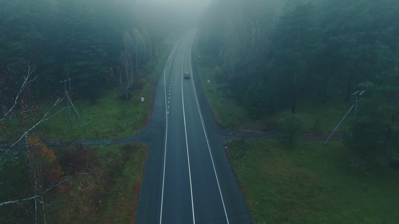 Misty Forest Road with Car