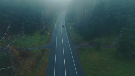 misty forest road with car