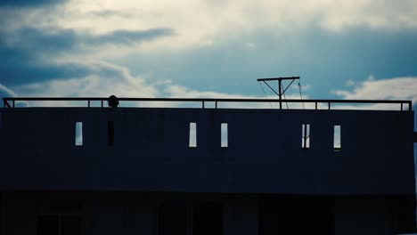 silhouette of a young man with headphones walking in circles on the terrace