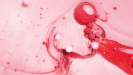 abstract pink and red fluid art