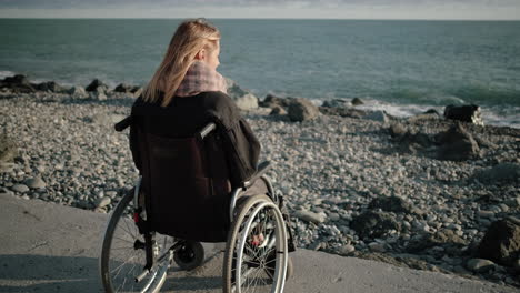 mujer en silla de ruedas en la playa