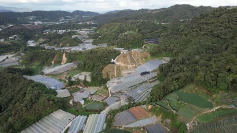 general landscape view of the brinchang district within the cameron highlands area of malaysia