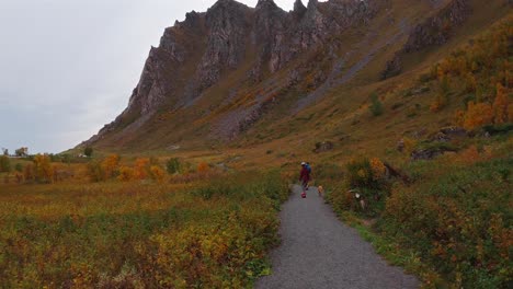 couple on wheel boards walking along a mountain path with dog, autumn landscape