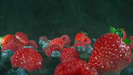 firm and tasty berries from forest