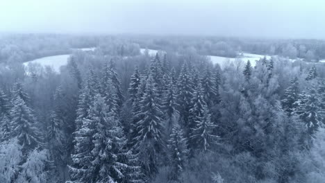 Establecimiento-De-Tiro-De-Invierno